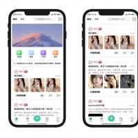 2025最新唯美社区StarFree源码